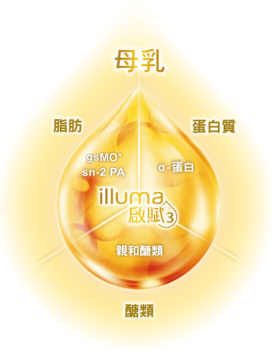 惠氏 illuma 啟賦 3 配方奶粉,銜接母乳的三大核心成分:脂肪、蛋白質、醣類。其獨特脂肪分子結構 sn-2 PA 及水溶性膳食纖維寡糖,維持消化道健康、幫助寶寶排便順暢;源於母乳活性因子 gsMO 提升寶寶保護力,幫助寶寶健康成長,延續母乳活性力!