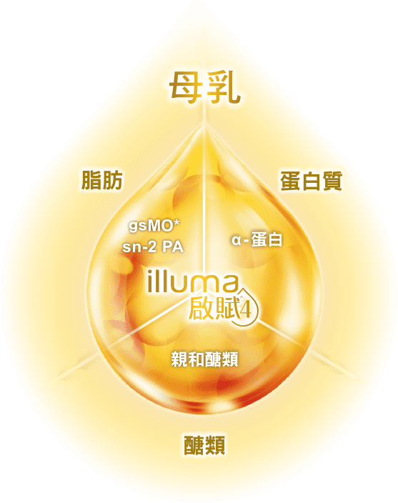 惠氏 illuma 啟賦 3 配方奶粉,銜接母乳的三大核心成分:脂肪、蛋白質、醣類。其獨特脂肪分子結構 sn-2 PA 及水溶性膳食纖維寡糖,維持消化道健康、幫助寶寶排便順暢;源於母乳活性因子 gsMO 提升寶寶保護力,幫助寶寶健康成長,延續母乳活性力!