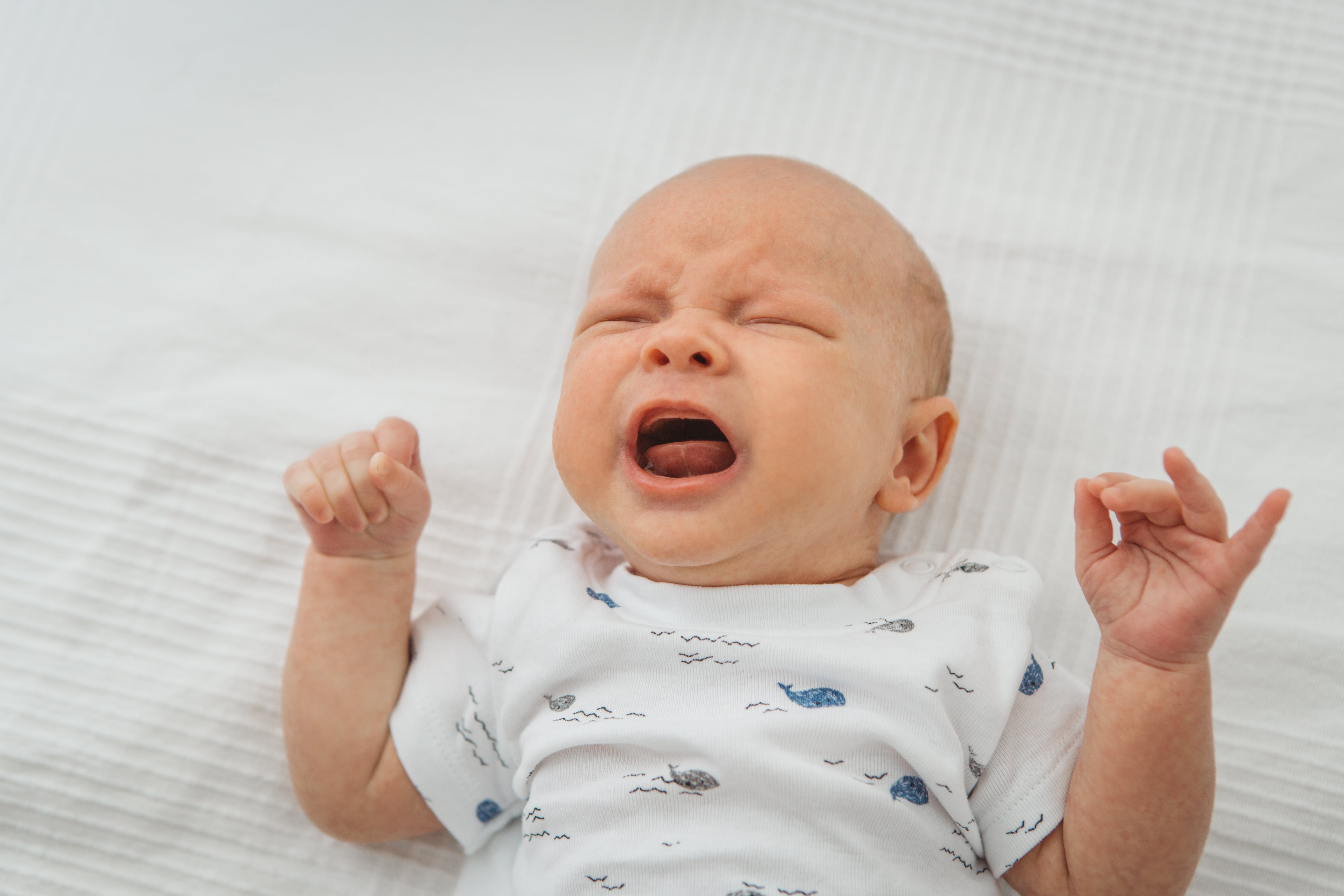由於寶寶的呼吸道發展尚未穩定，當病毒入侵寶寶氣管時，容易使寶寶出現咳嗽症狀。
