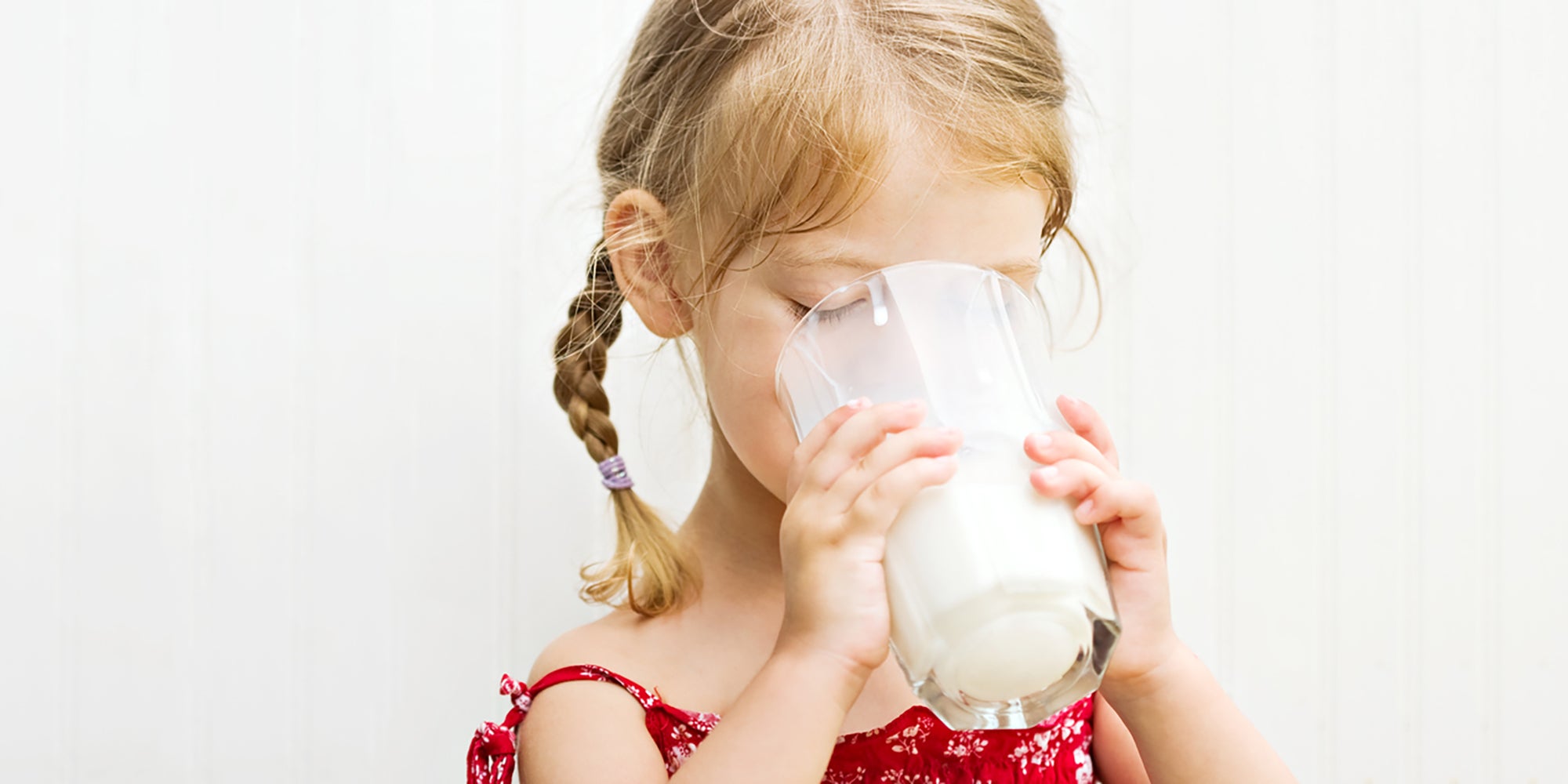 配方奶的成分類型