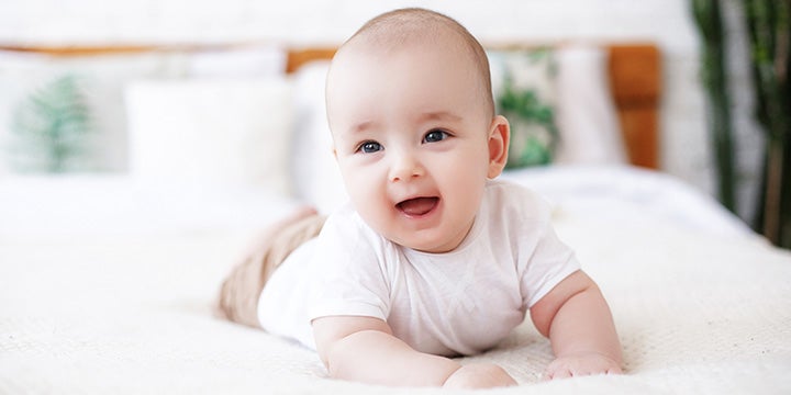 「神經鞘磷脂」是不可或缺的學習營養關鍵